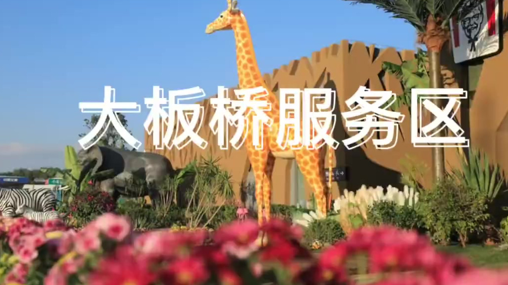 【国庆来打卡全国第一家非洲风情服务区 】面包树、火烈鸟、长颈鹿……国内首家非洲风情主题服务