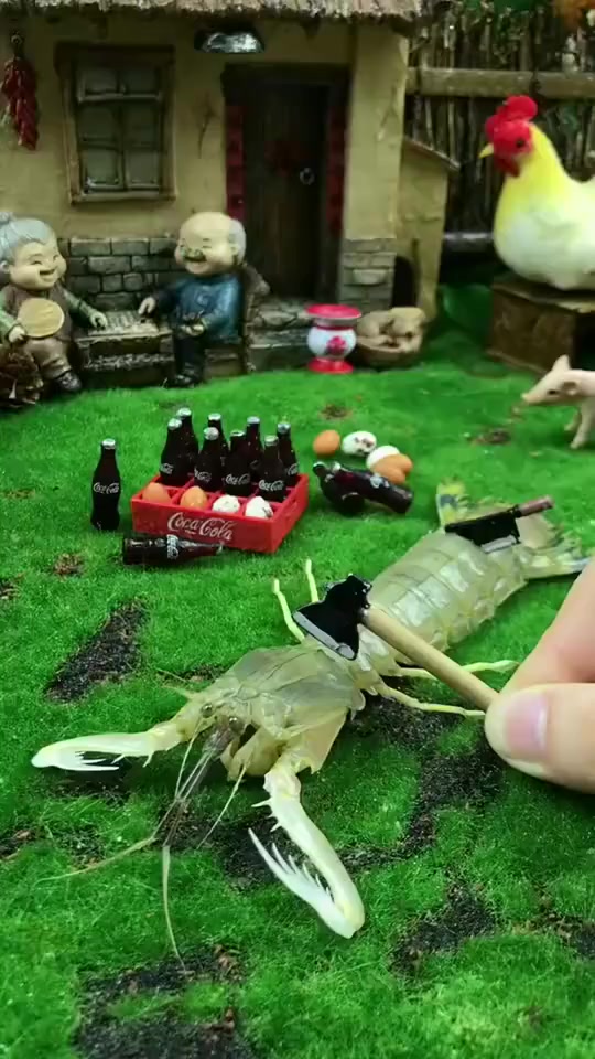 皮皮虾,我们走