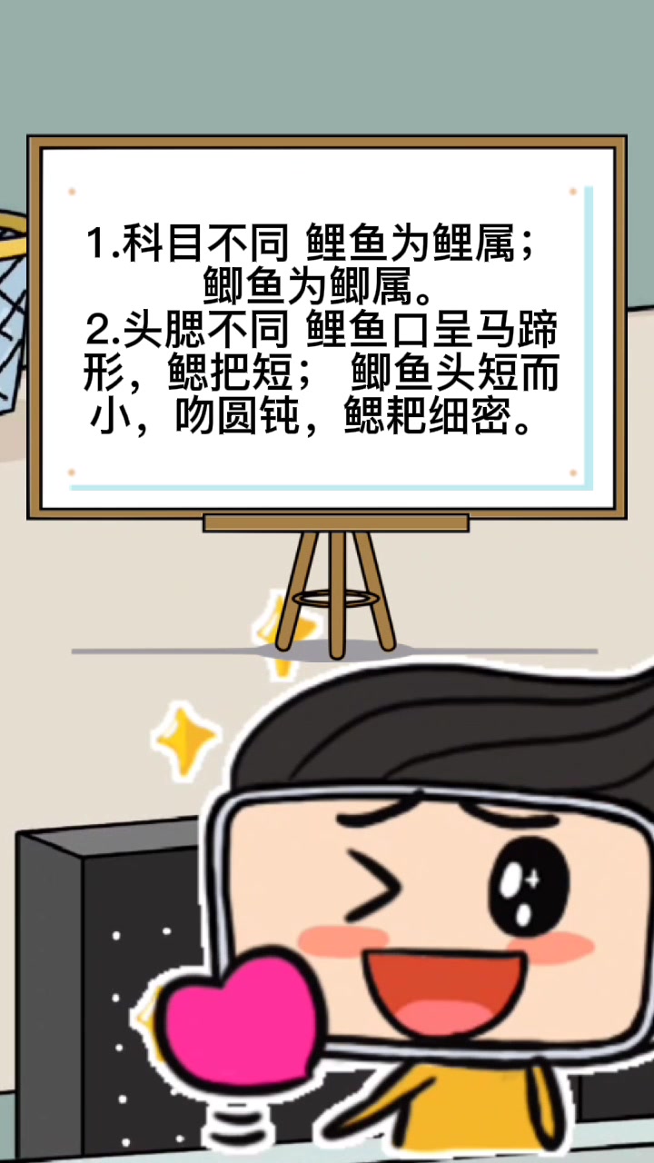 鲫鱼和鲤鱼的区别