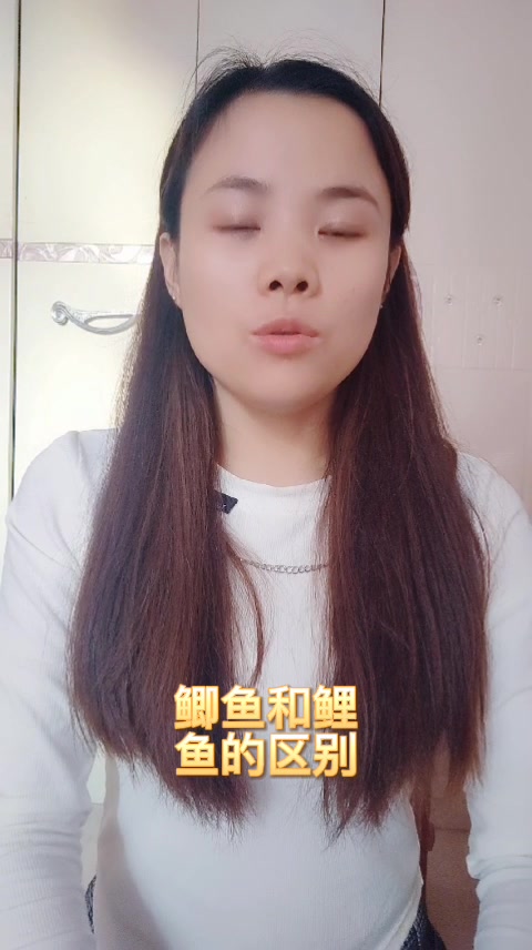 鲫鱼和鲤鱼的区别