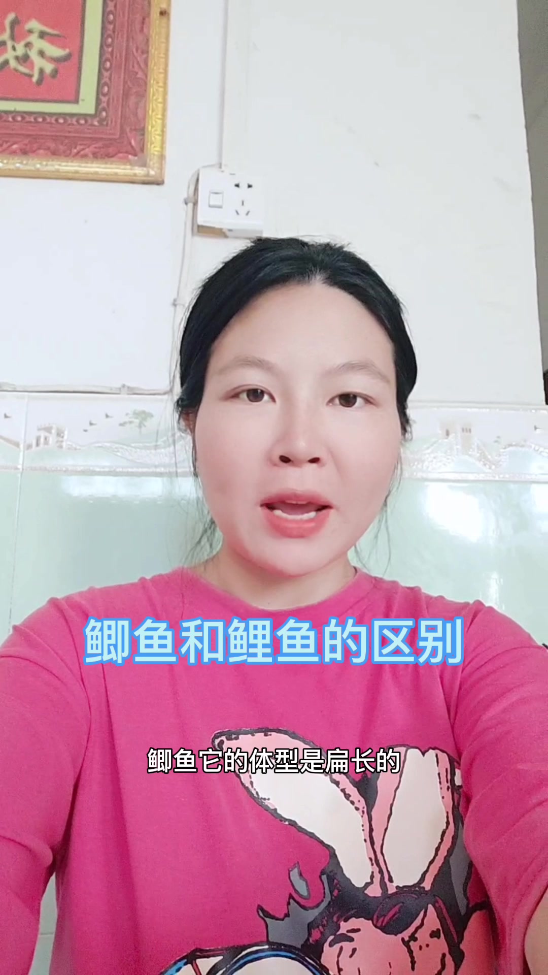 鲫鱼和鲤鱼的区别