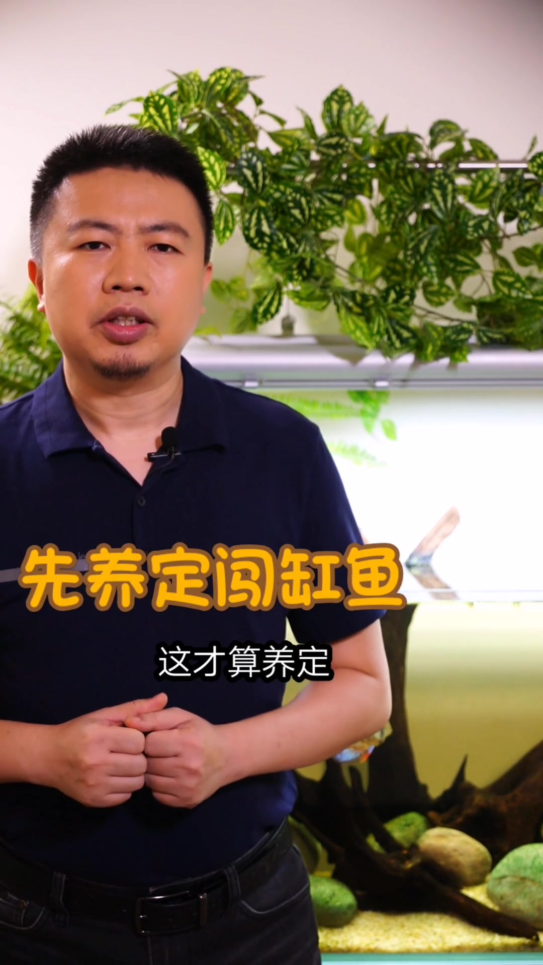 新手总问怎么开缸,鱼叔教你新缸开缸步骤!
