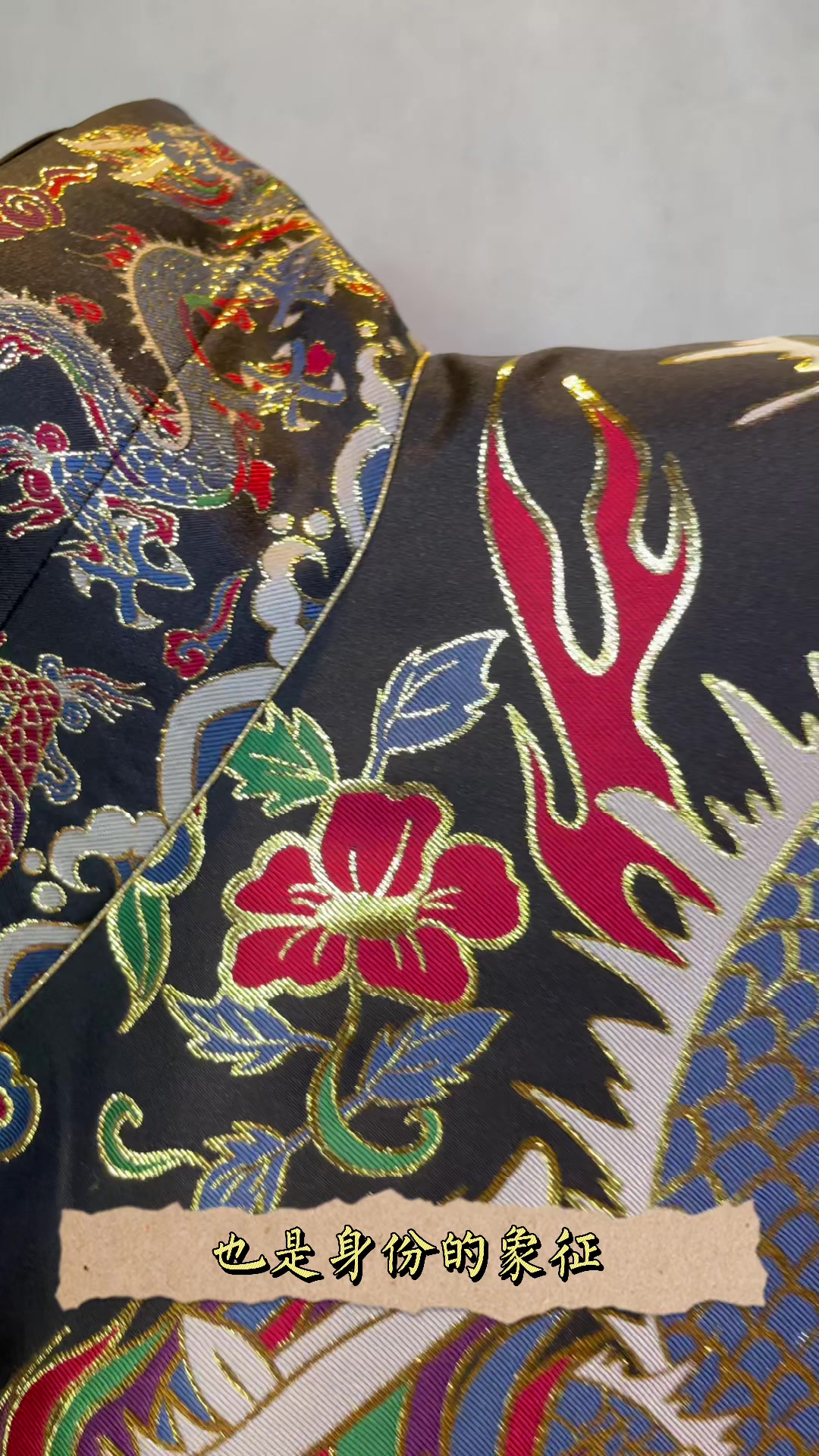 黑色的飞鱼纹道袍是什么样子的?