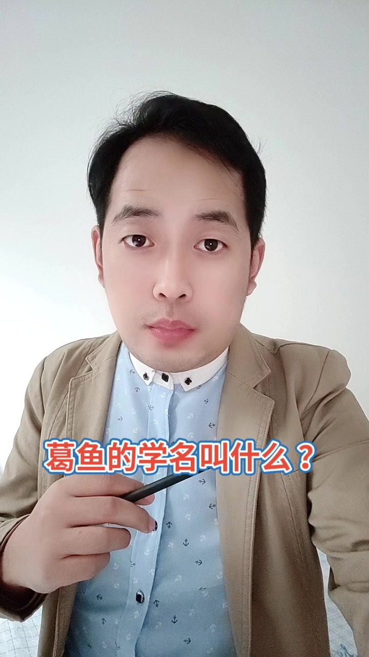 葛鱼的学名叫什么 ?马上就告诉你了
