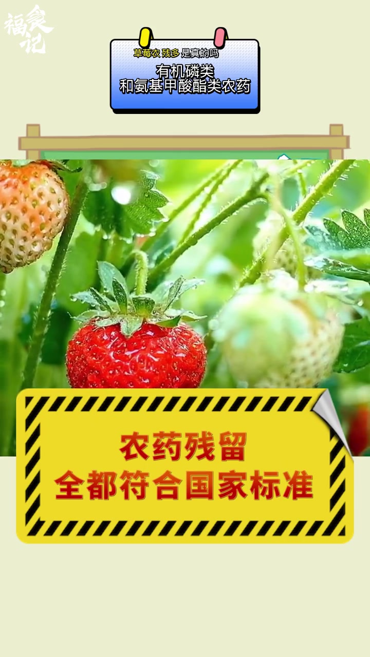 【国庆食安小科普 ,“草莓农药残留多,常吃有害健康”? 】为此我们进行了一项检测,结果显示
