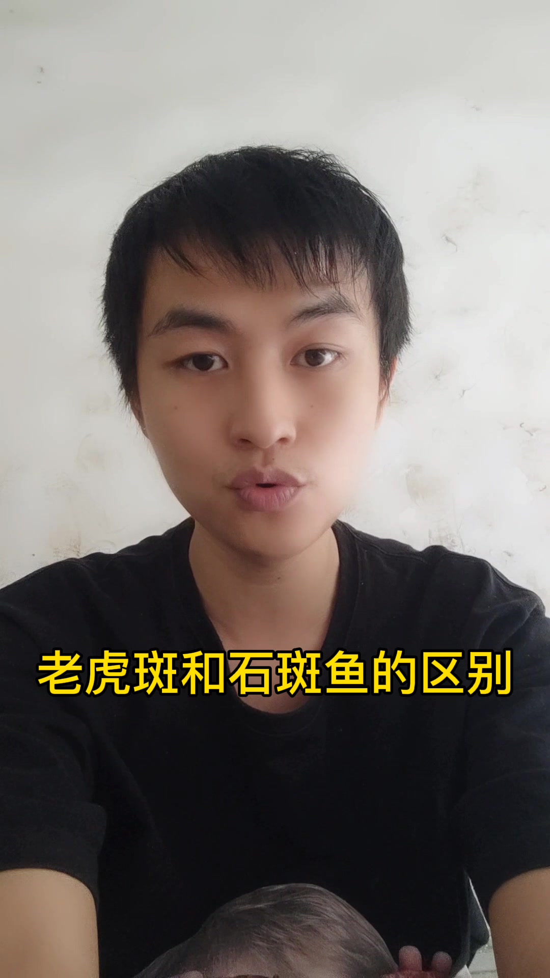 老虎斑和石斑鱼的区别