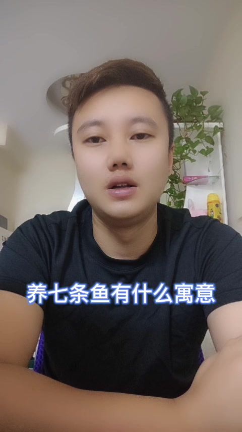 养七条鱼有什么寓意
