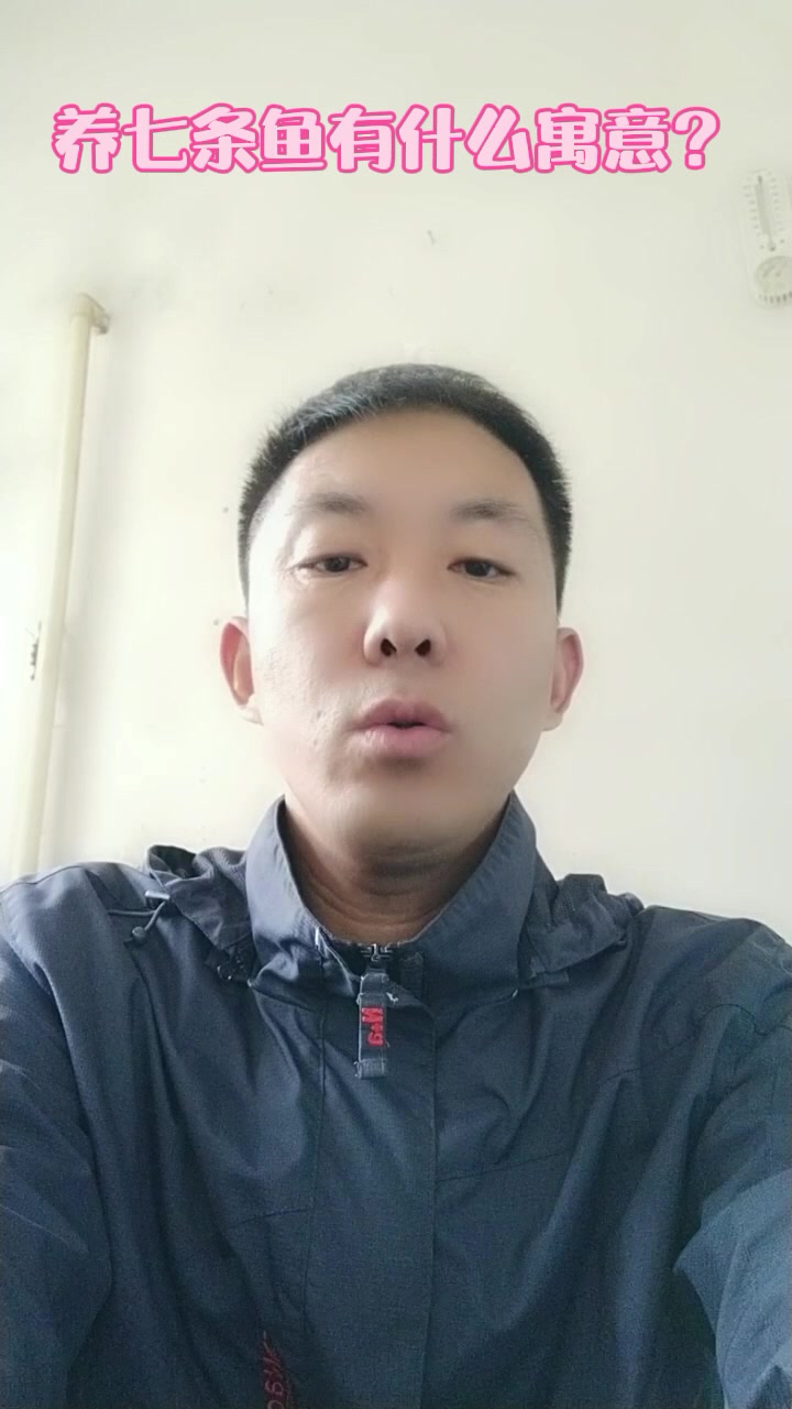 养七条鱼有什么寓意?