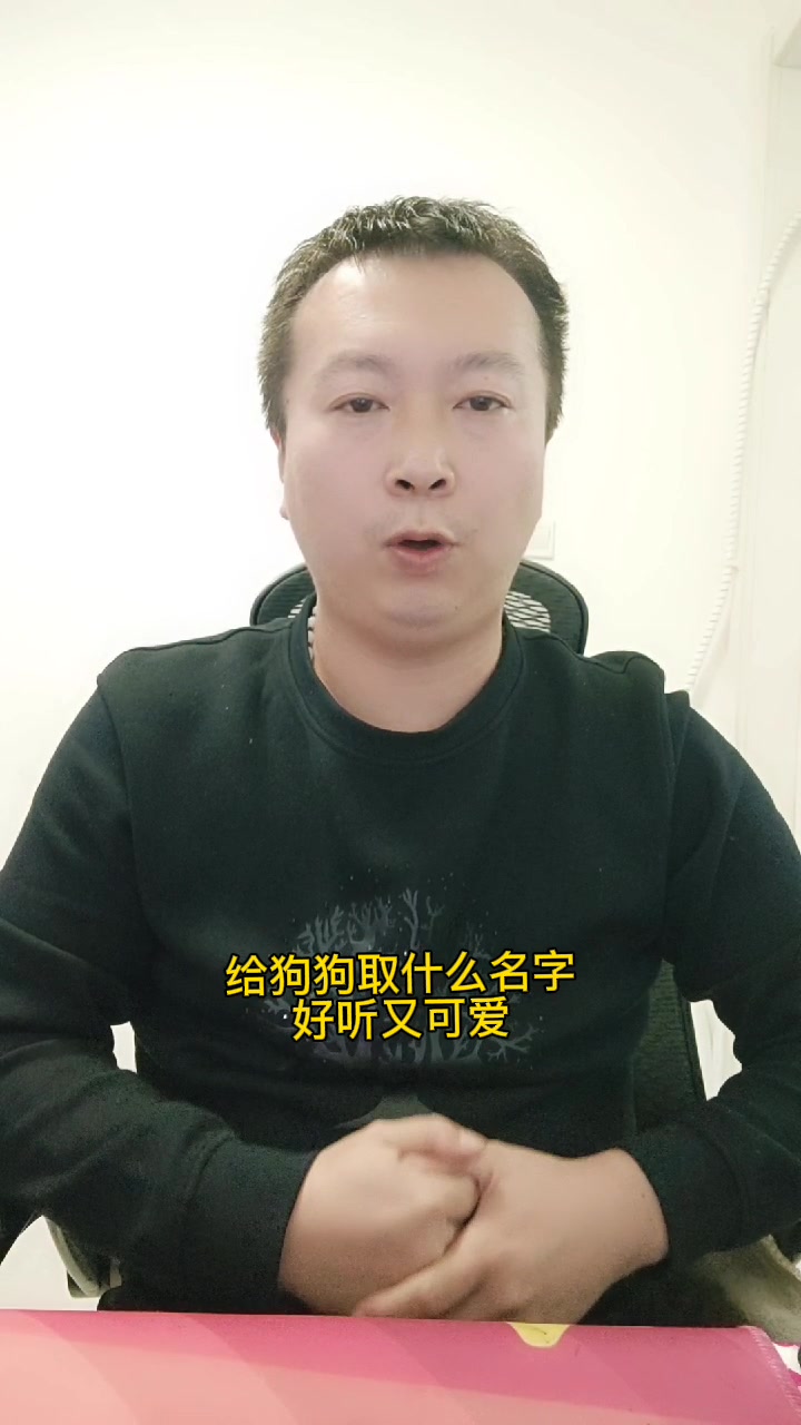 给狗狗取什么名字好听又可爱