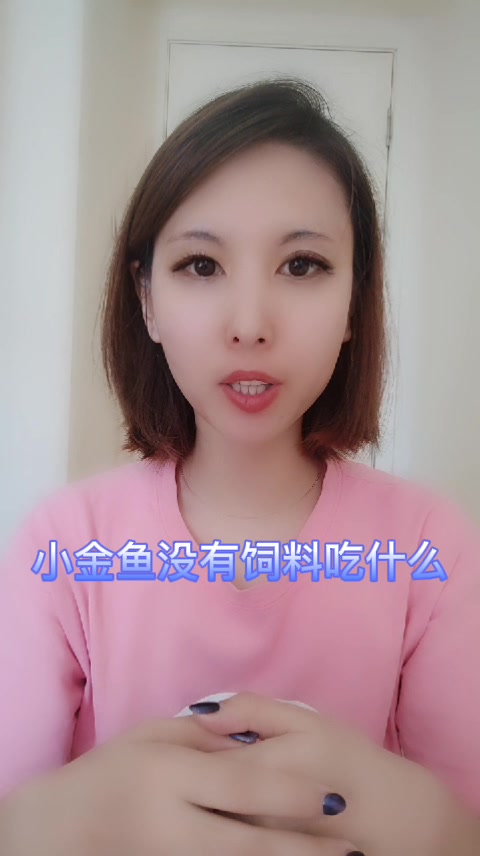 小金鱼没有饲料吃什么