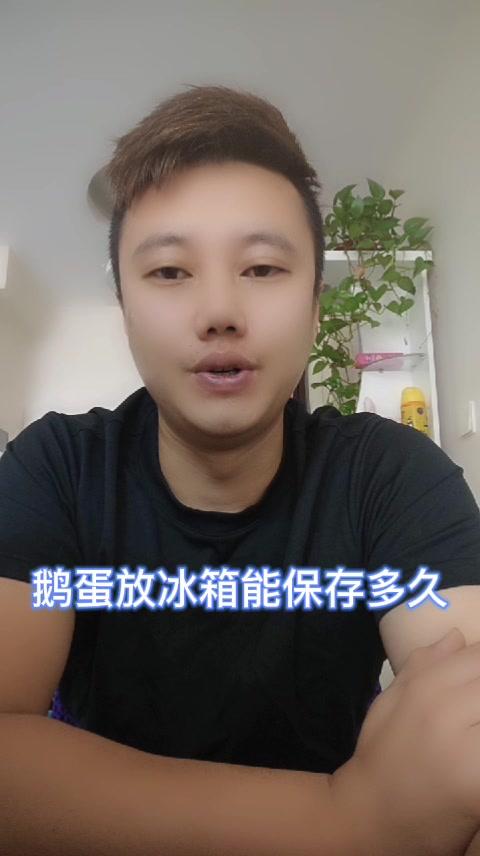 鹅蛋放冰箱能保存多久