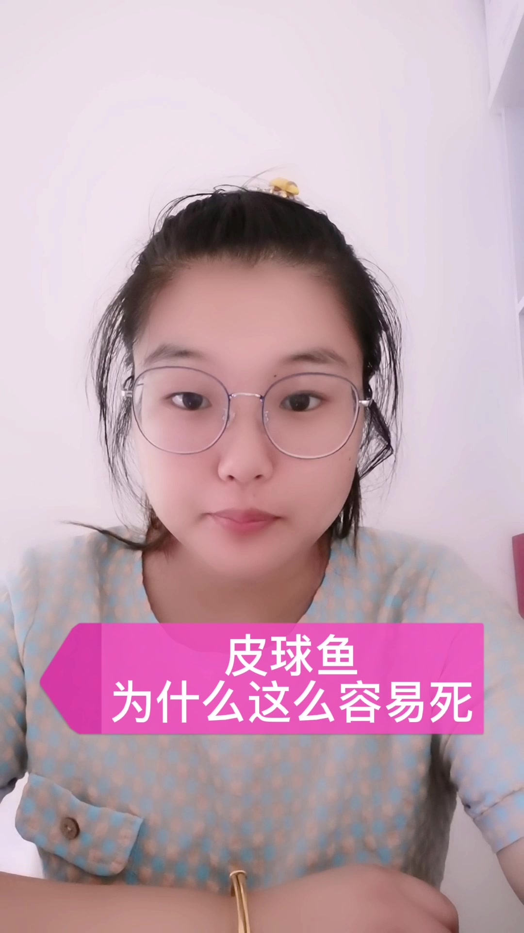 皮球鱼为什么这么容易死   
