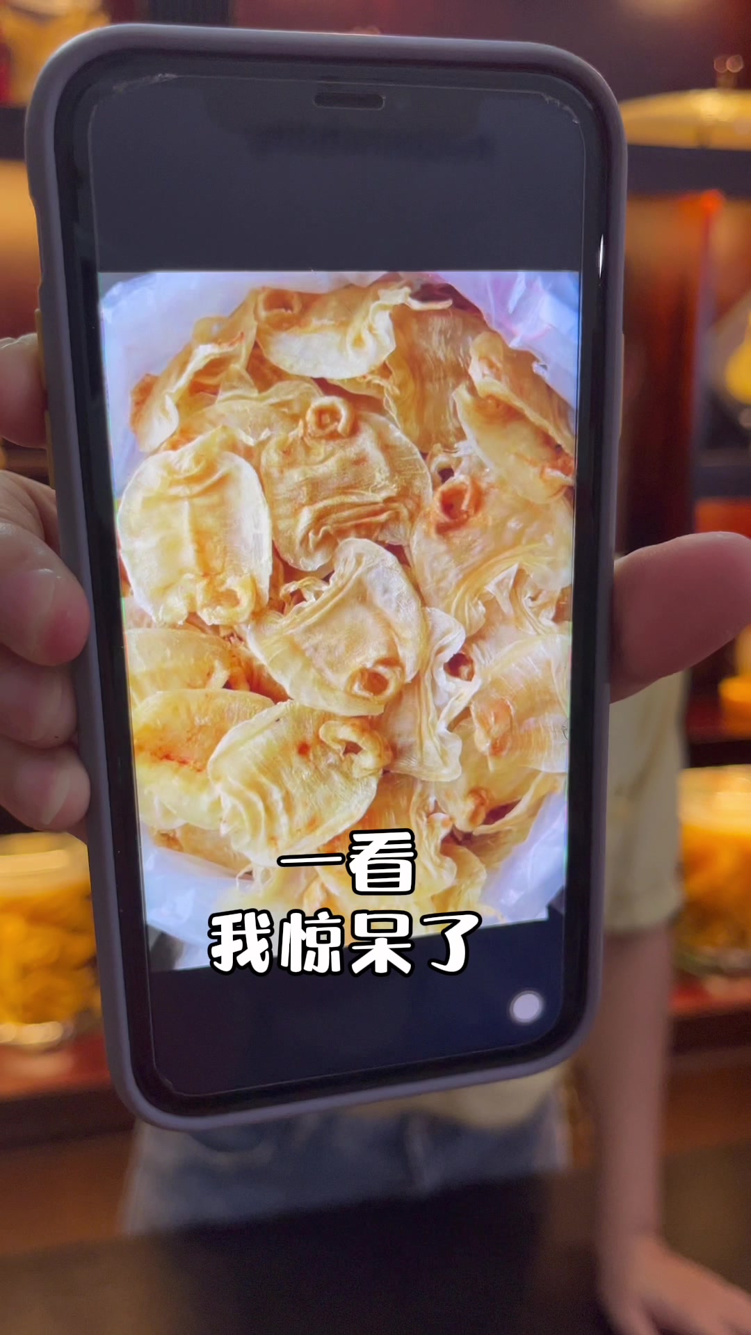 真假赤嘴鳘鱼胶,你见过吗?真有人踩过坑!