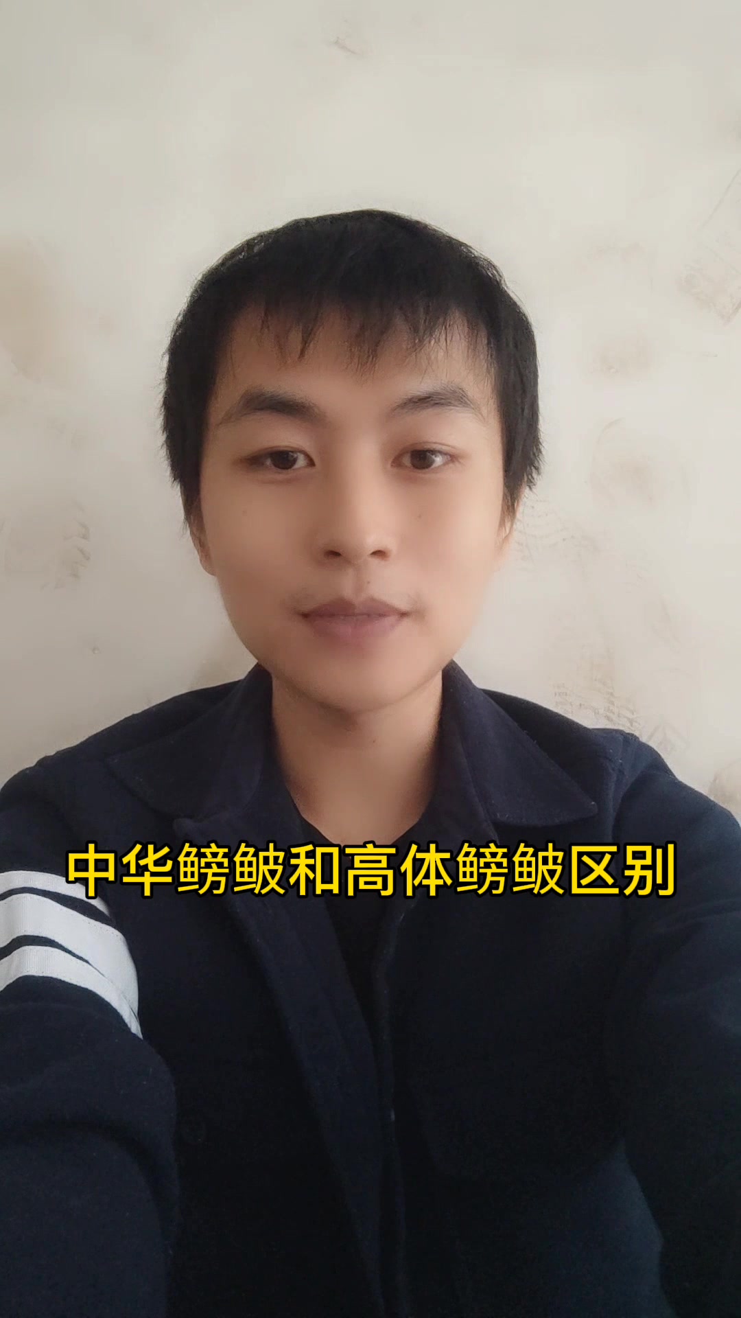 中华鳑鲏和高体鳑鲏区别
