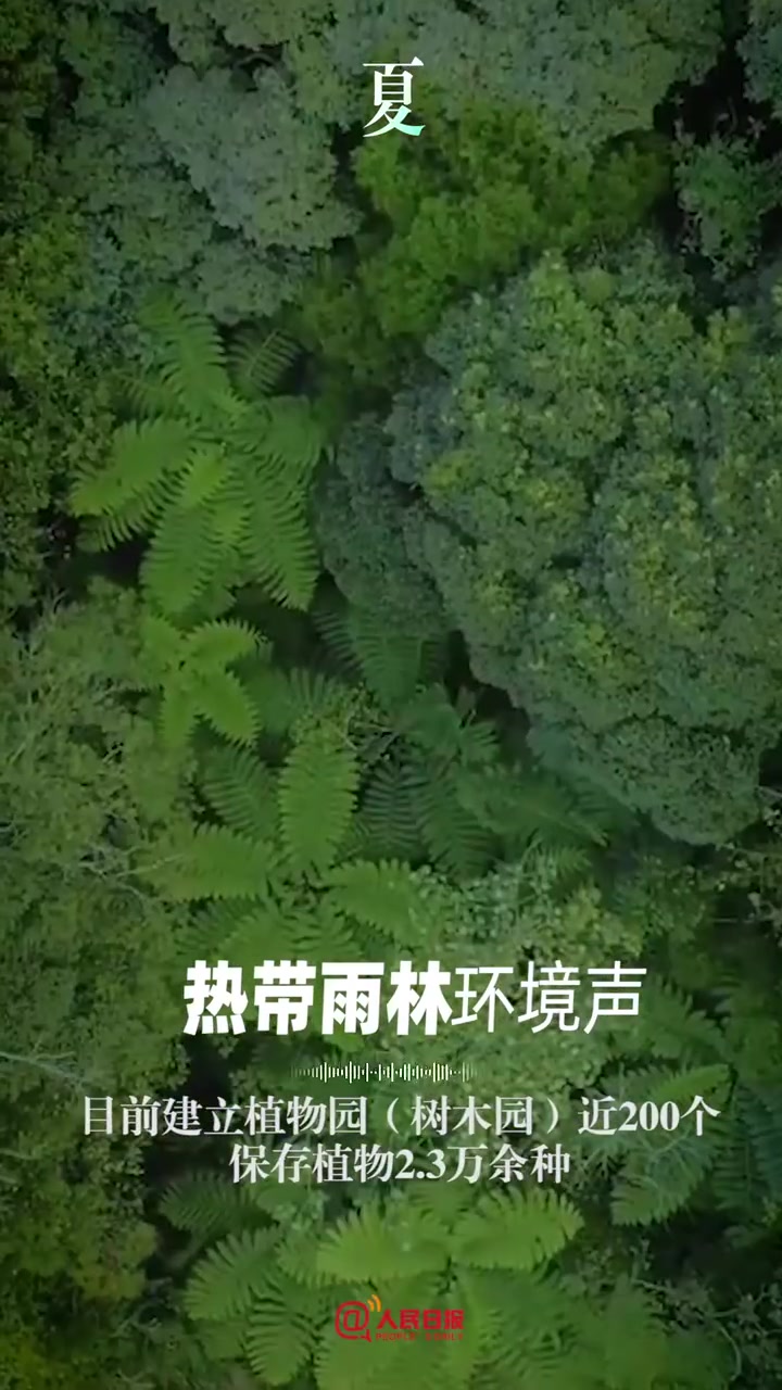 【每一帧都很治愈,90秒聆听中国大自然的春夏秋冬】面对生物多样性丧失的全球性挑战,中国在行