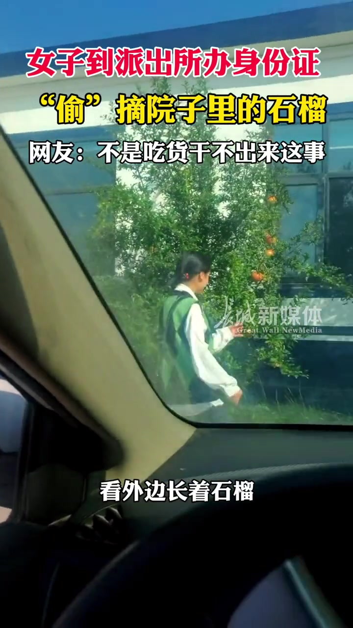 10月8日 河北石家庄 女子到派出所办理身份证,看到院子里的石榴,摘了一个蹑手蹑脚的溜了