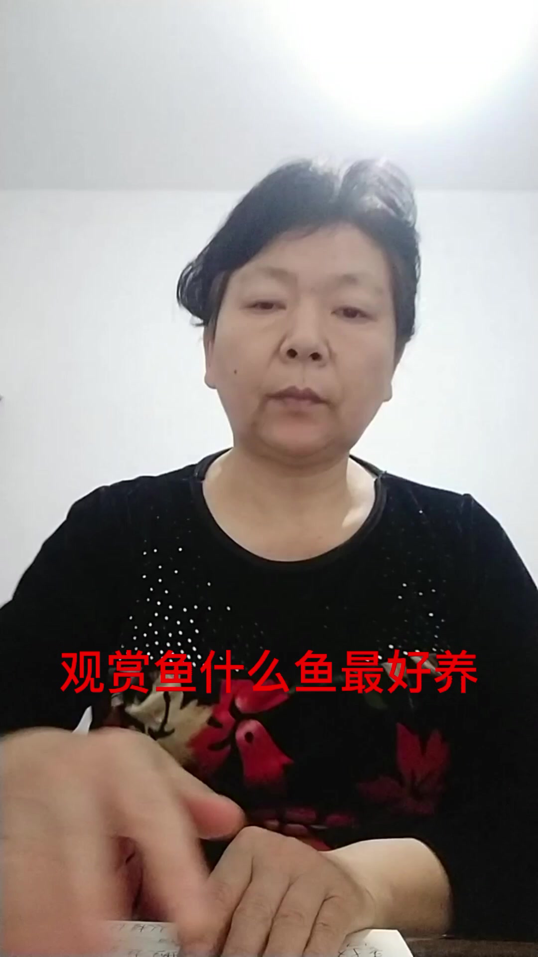 观赏鱼什么鱼最好养
