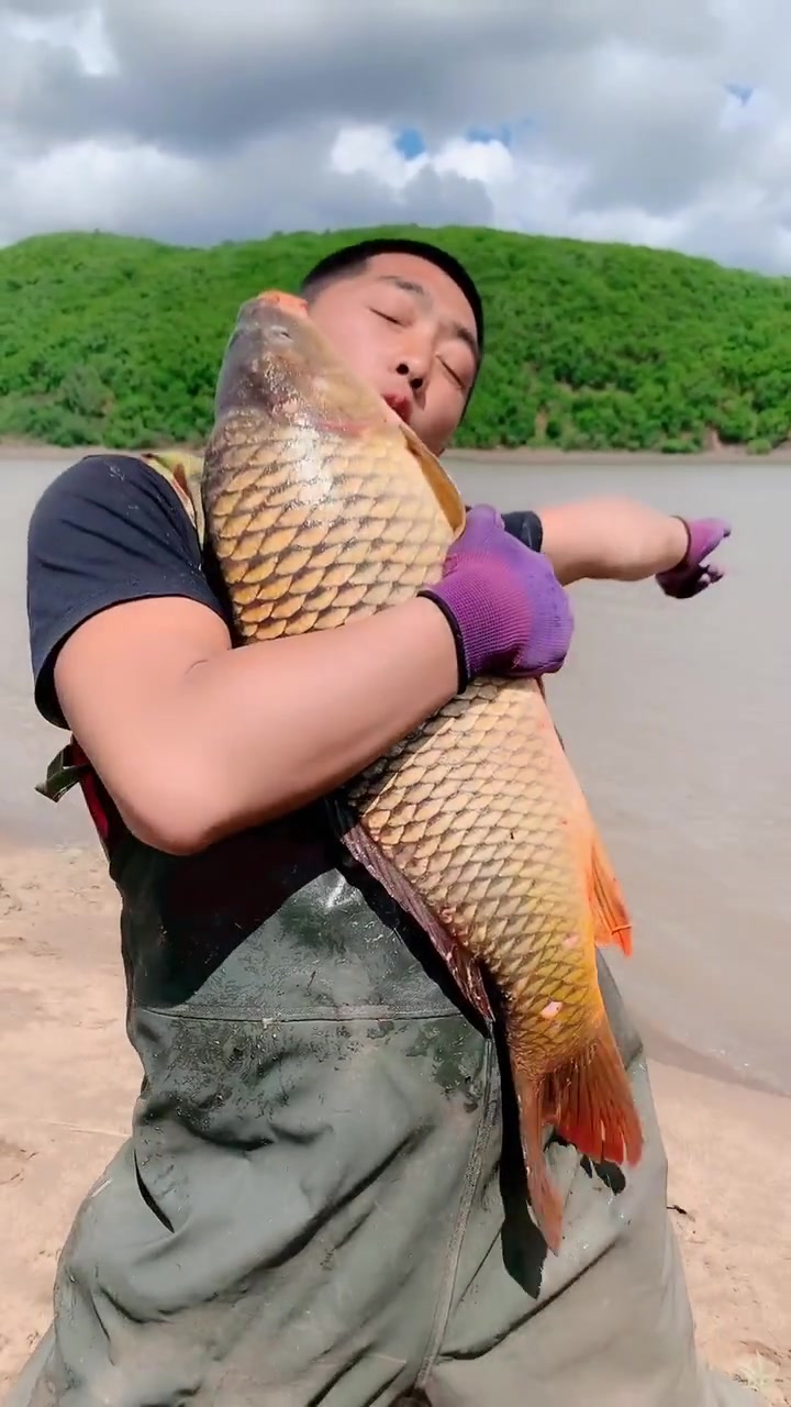 我的家乡黄金大鲤鱼