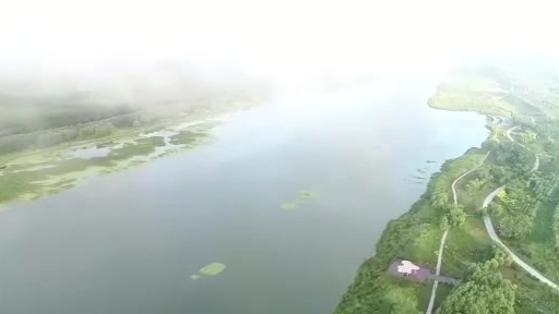 【央视新闻:天津沿海滩涂迎超万只一级鸟类栖息越冬 观测记录鸟类已达452种】#生态环境#　