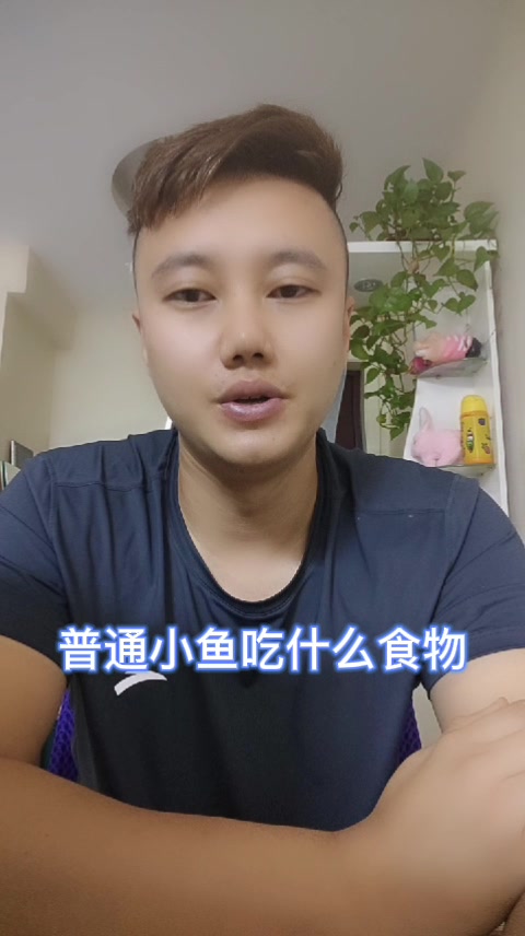普通小鱼吃什么食物