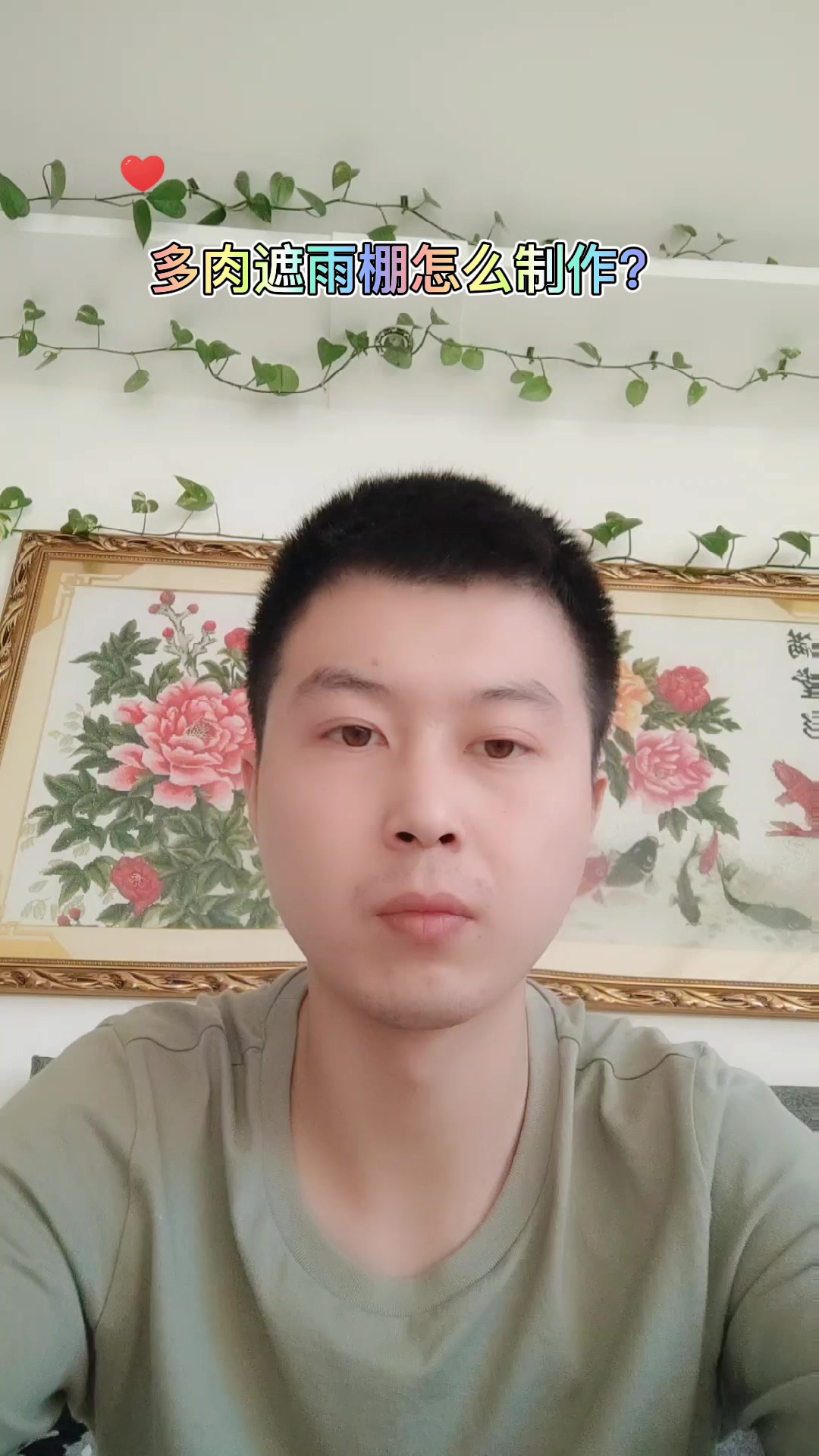 多肉遮雨棚怎么制作?