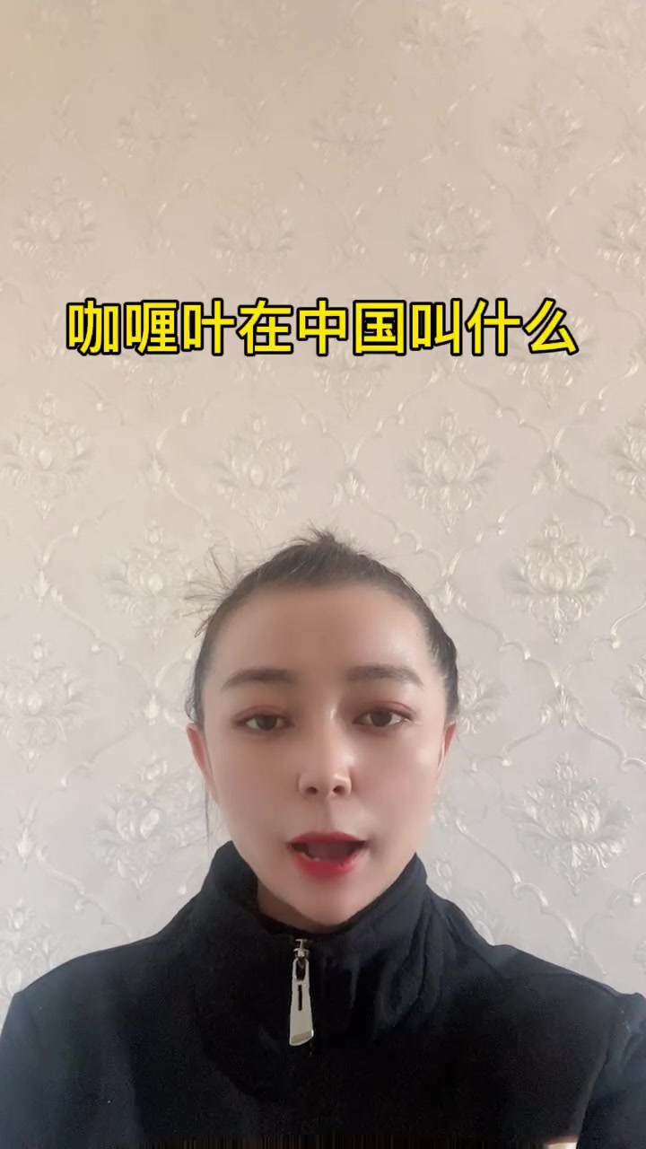 咖喱叶在中国叫什么