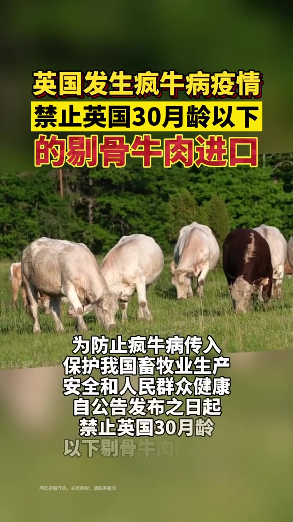 为防止疯牛病传入,两部门禁止英国30月龄以下的剔骨牛肉进口,你还敢吃进口肉吗?