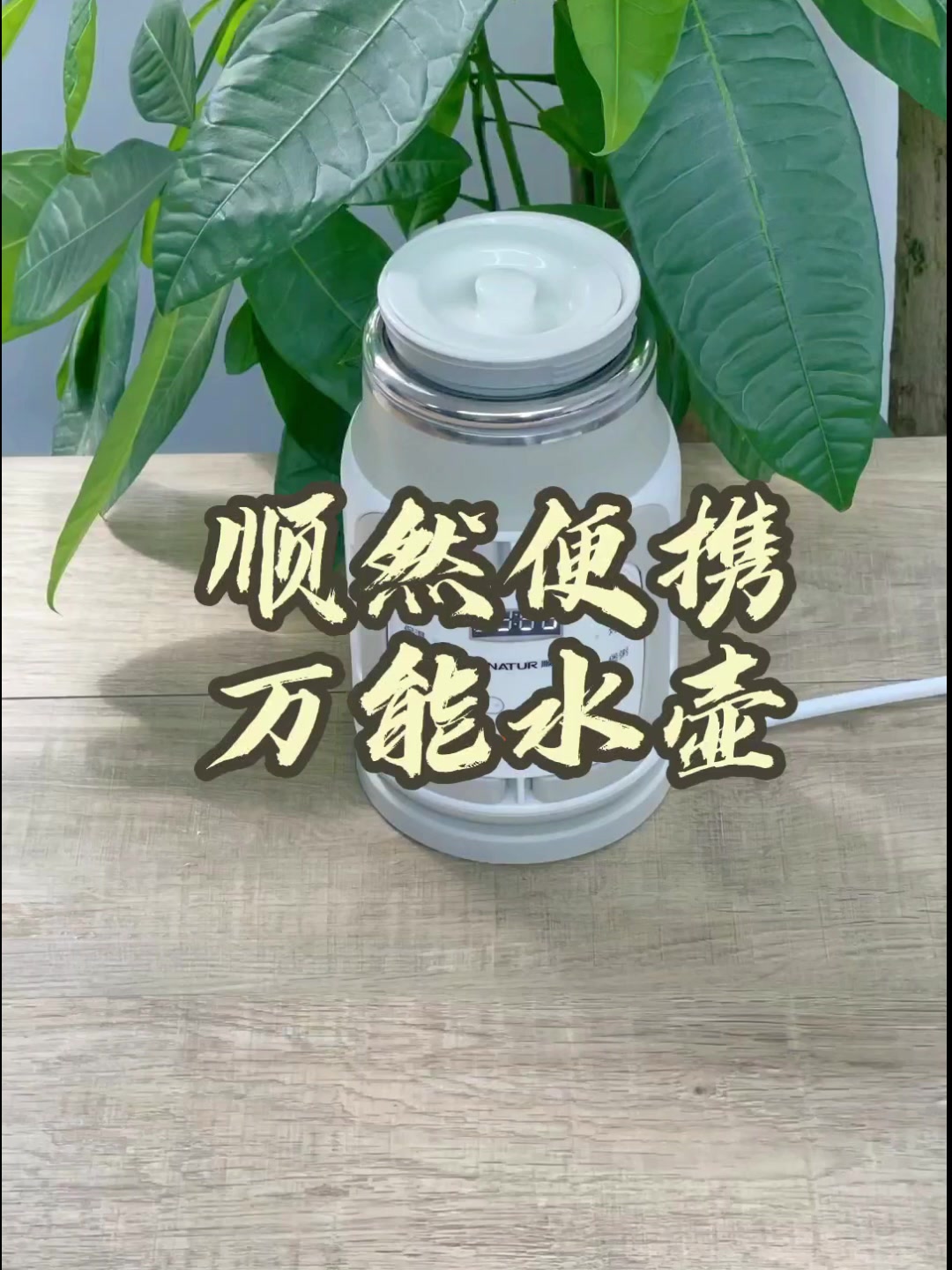 顺然养生壶-苦瓜汤