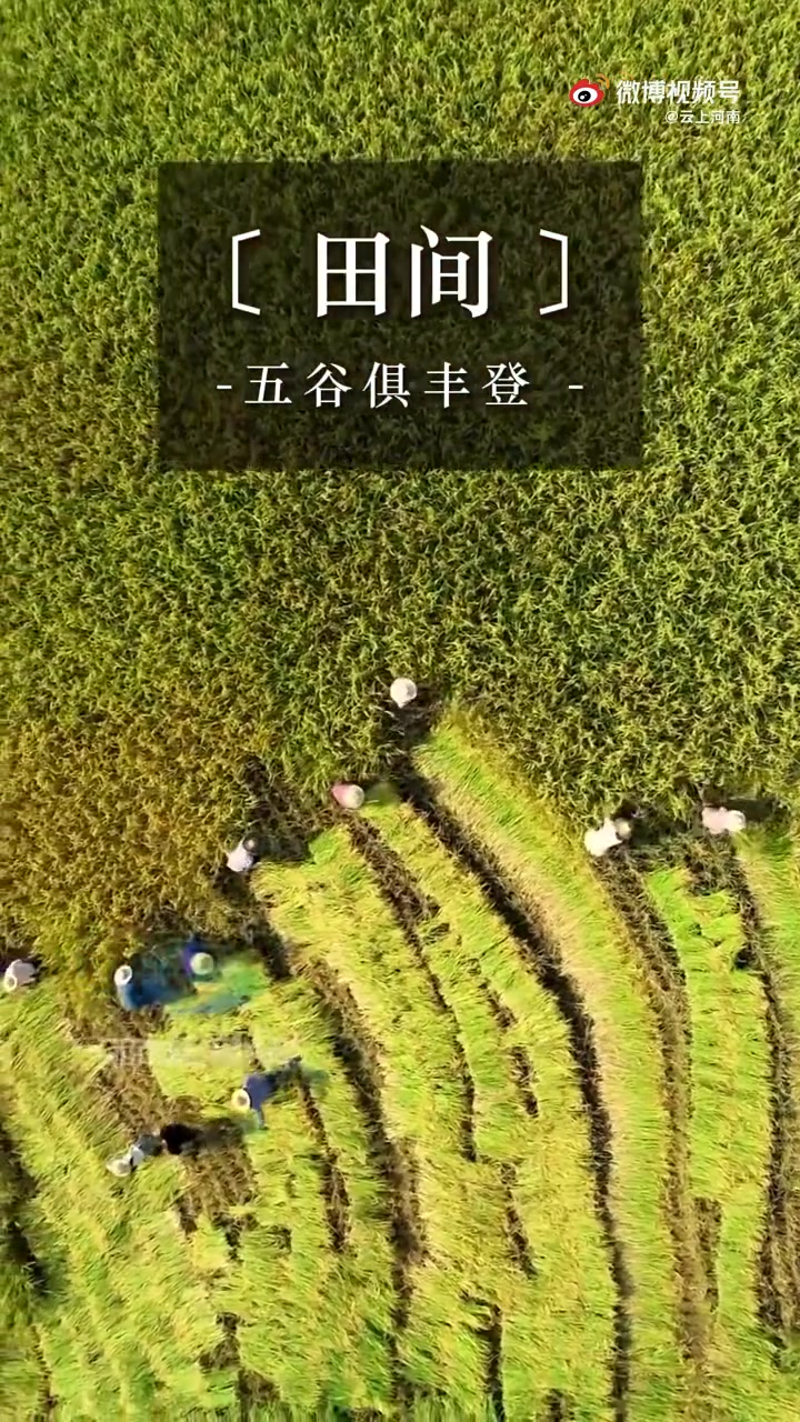 10月8日,省政府新闻办举行“豫见金秋·惠游老家”新闻发布会。据悉,为进一步启动旅游市场,