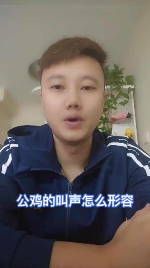 公鸡的叫声怎么形容