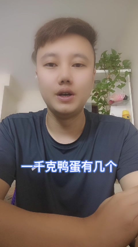 一千克鸭蛋有几个   