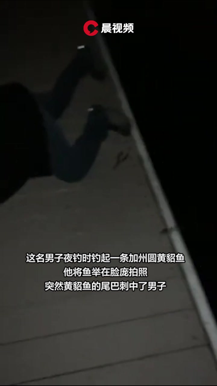 美国男子钓起黄貂鱼拿着拍照,下一秒被刺中倒地痛苦尖叫