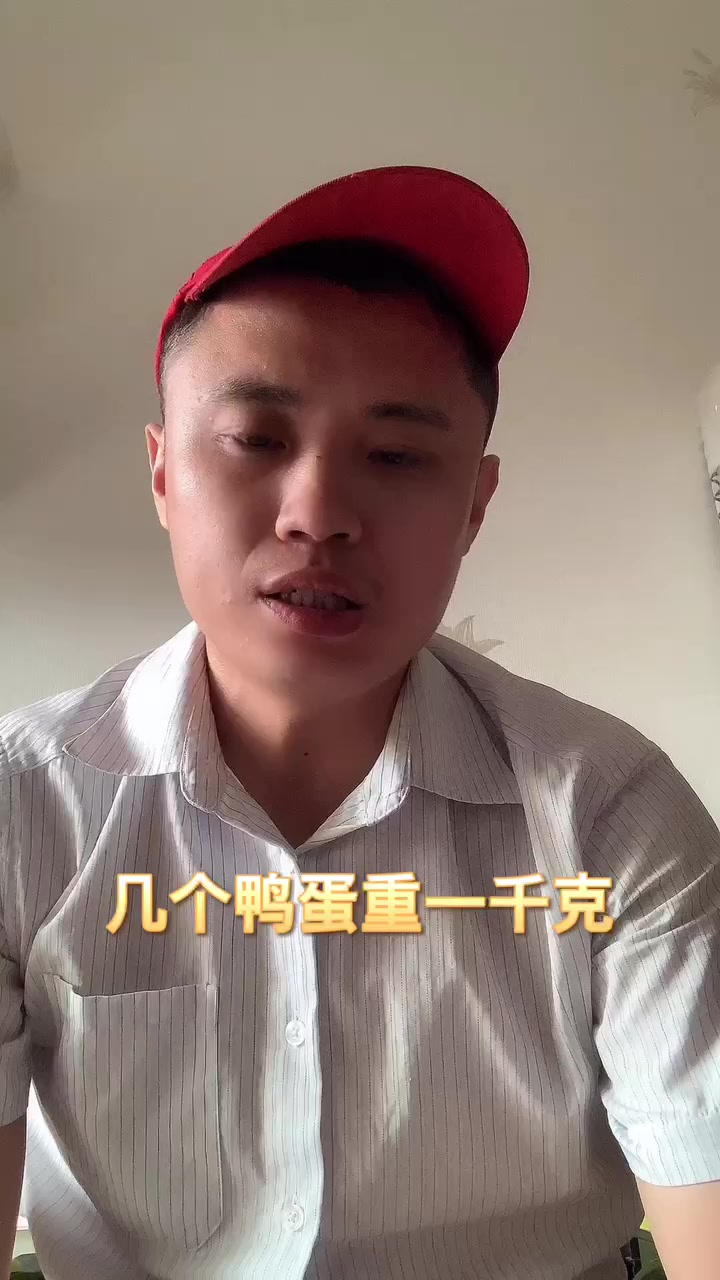 几个鸭蛋重一千克  