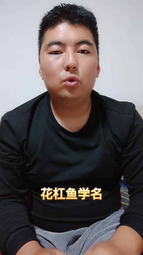 花杠鱼学名     