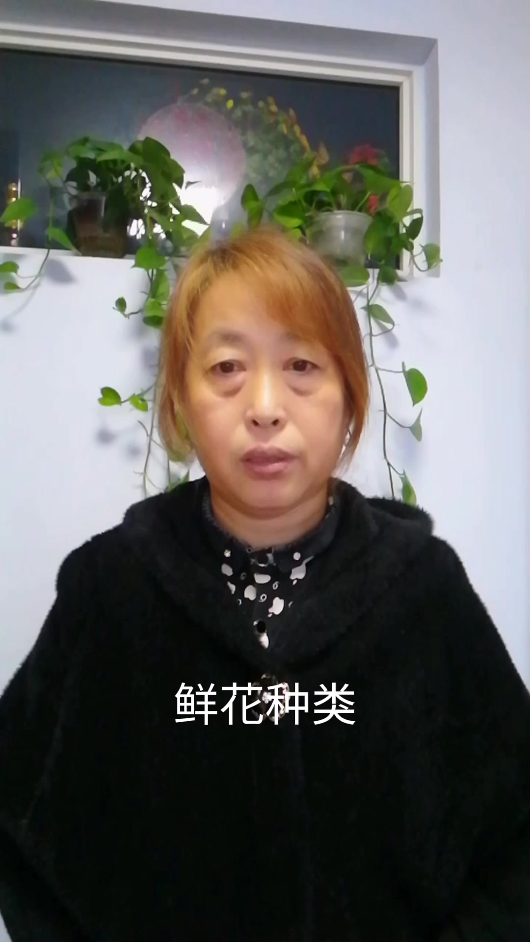    鲜花种类。