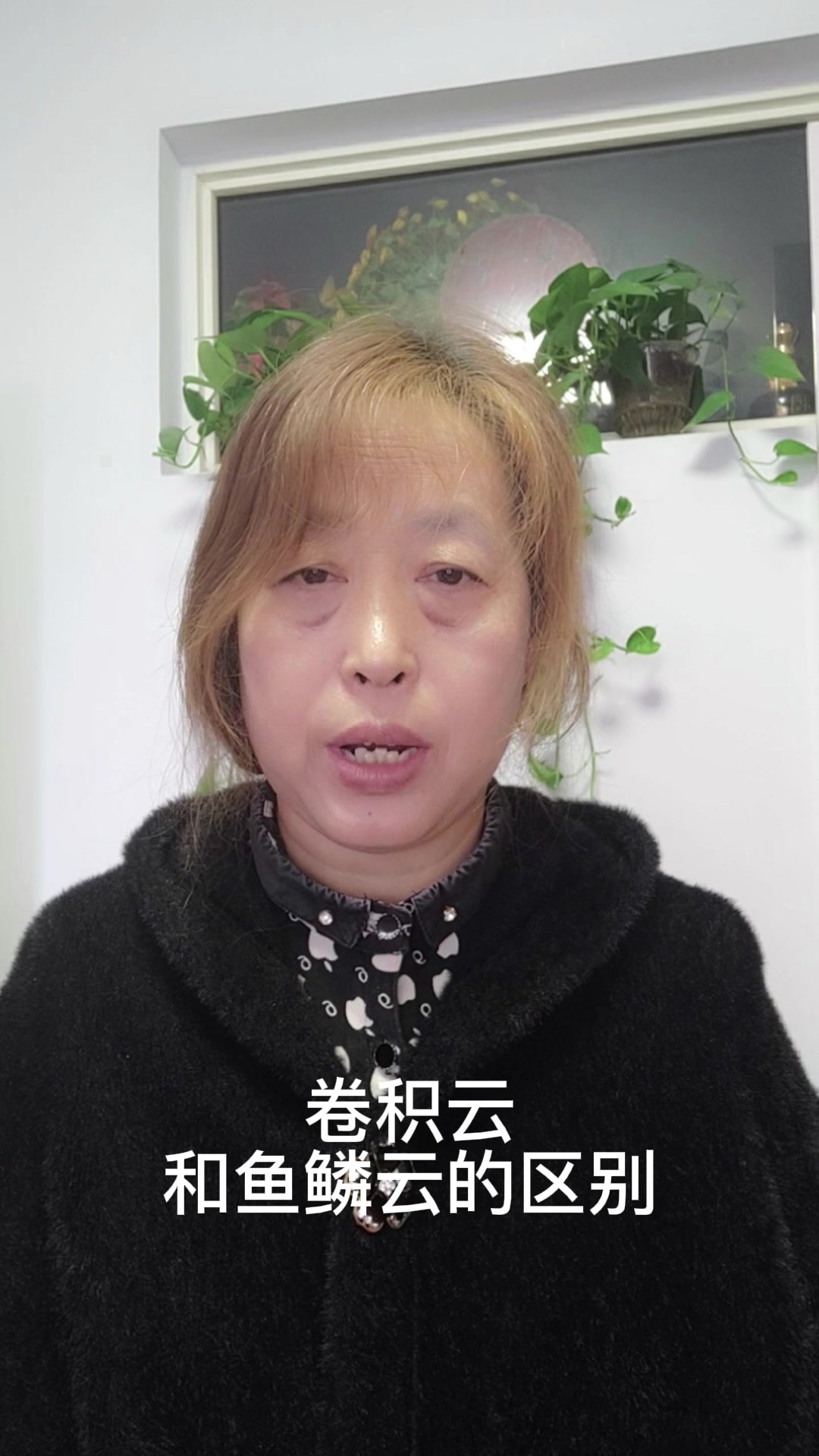 卷积云和鱼鳞云的区别