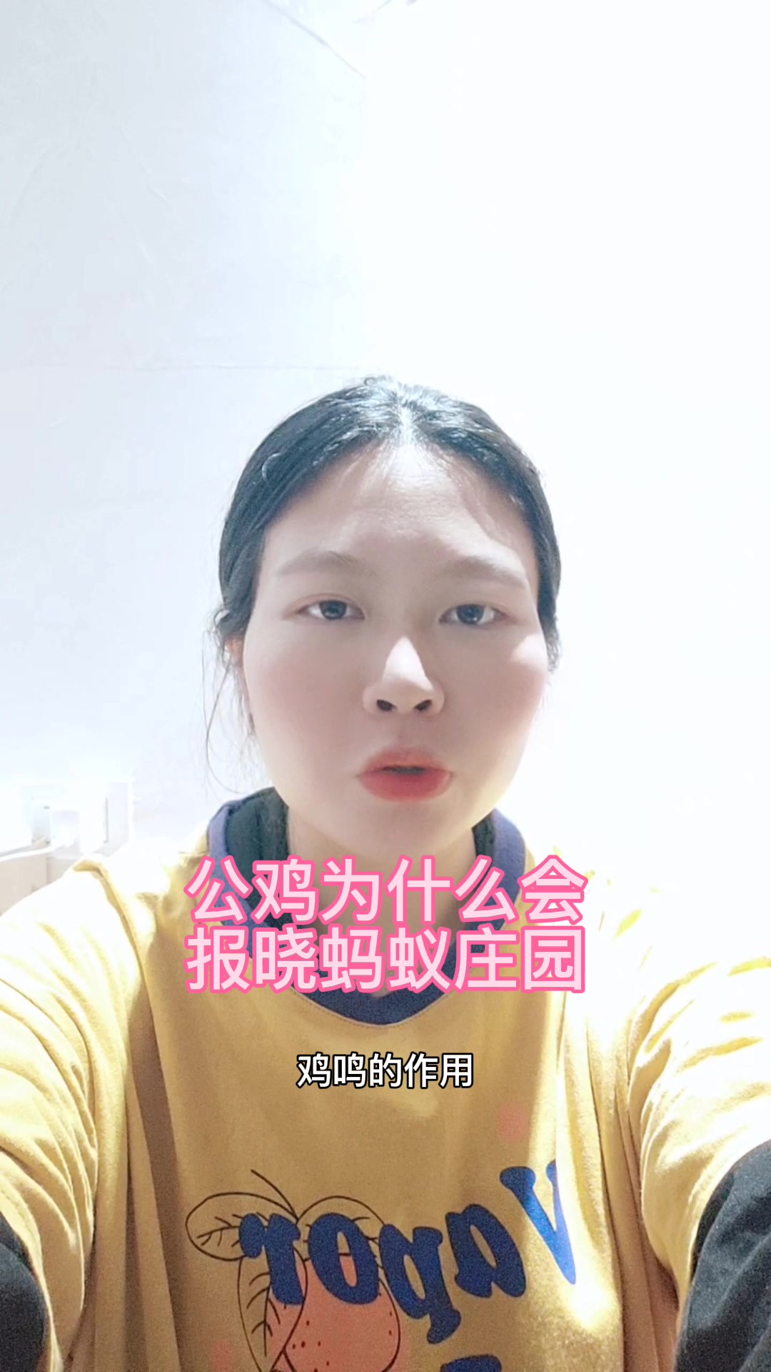 公鸡为什么会报晓蚂蚁庄园