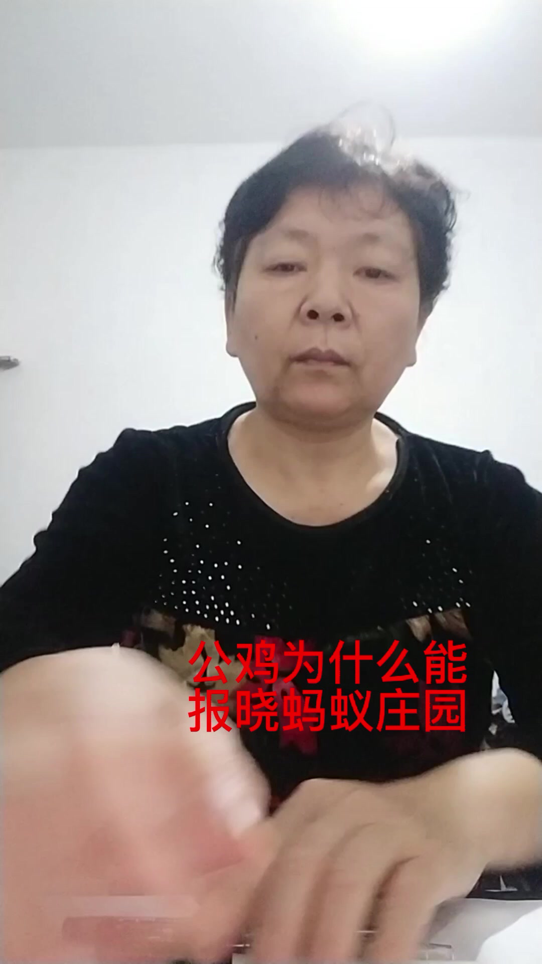 公鸡为什么能报晓蚂蚁庄园