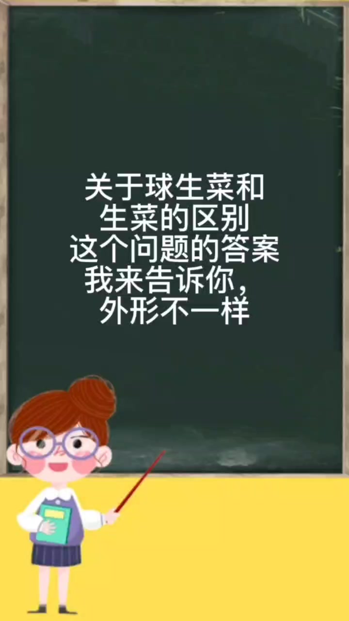 球生菜和生菜的区别。