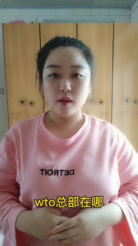 wto总部在哪 