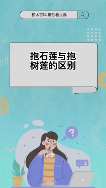 抱石莲与抱树莲的区别