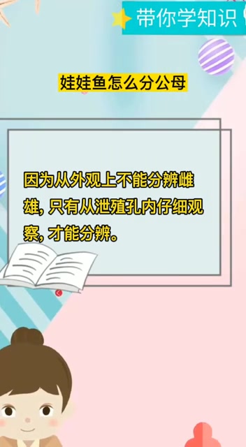 娃娃鱼怎么分公母