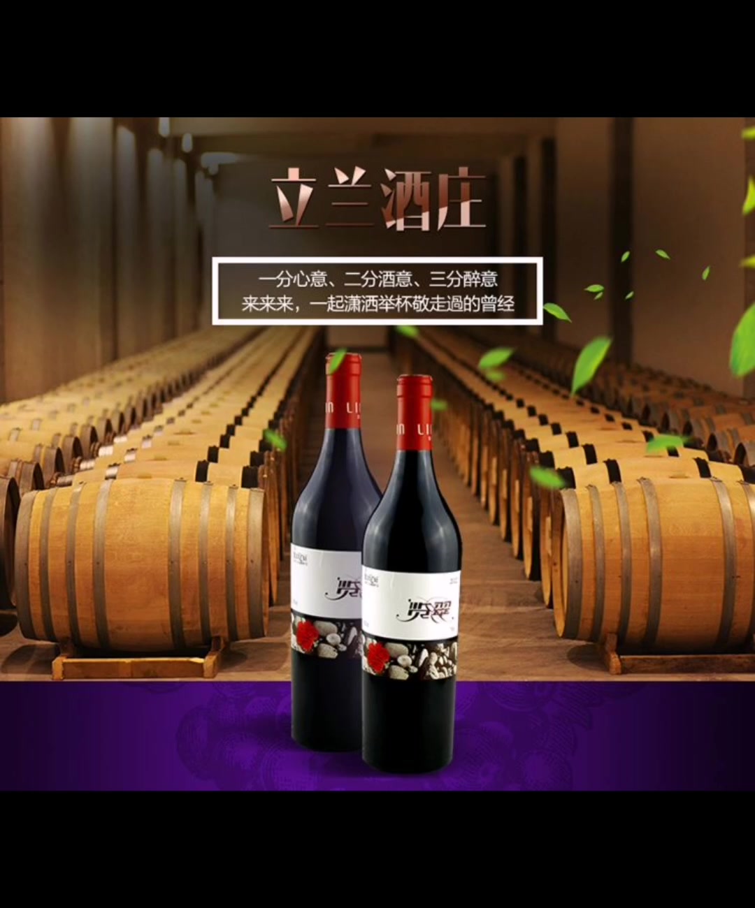 宁夏葡萄酒览翠赤霞珠干红葡萄酒