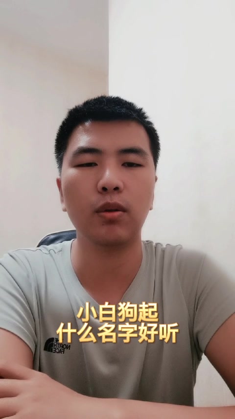 小白狗起什么名字好听
