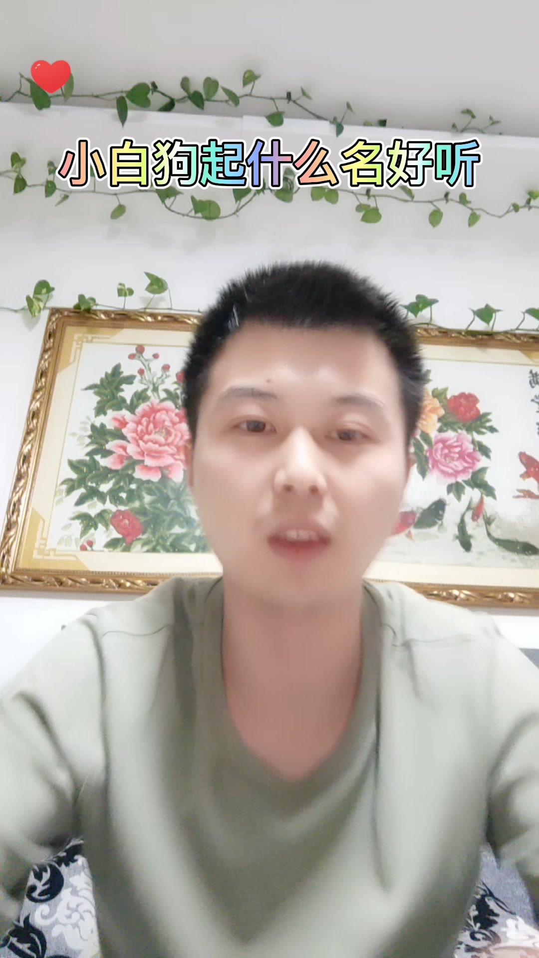 小白狗起什么名好听