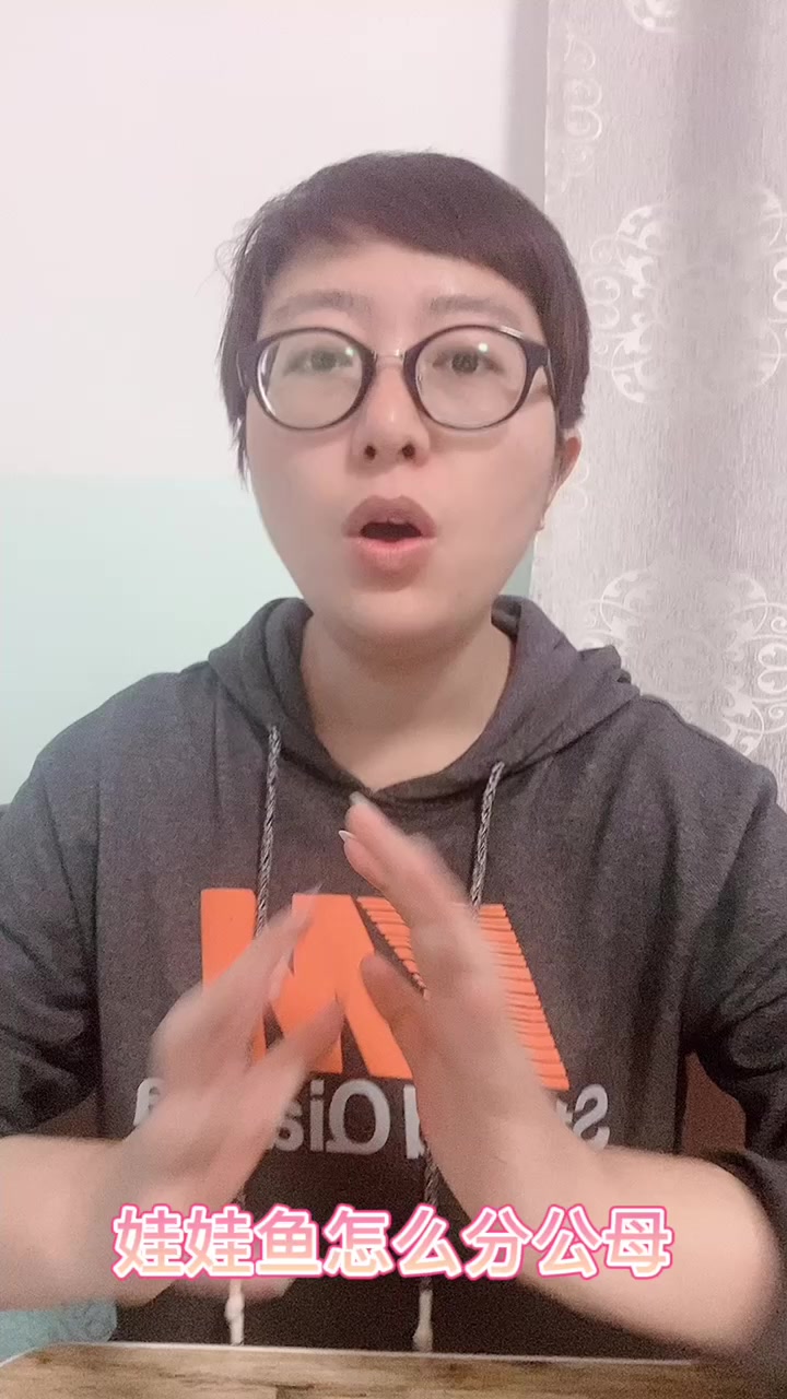 娃娃鱼怎么分公母?