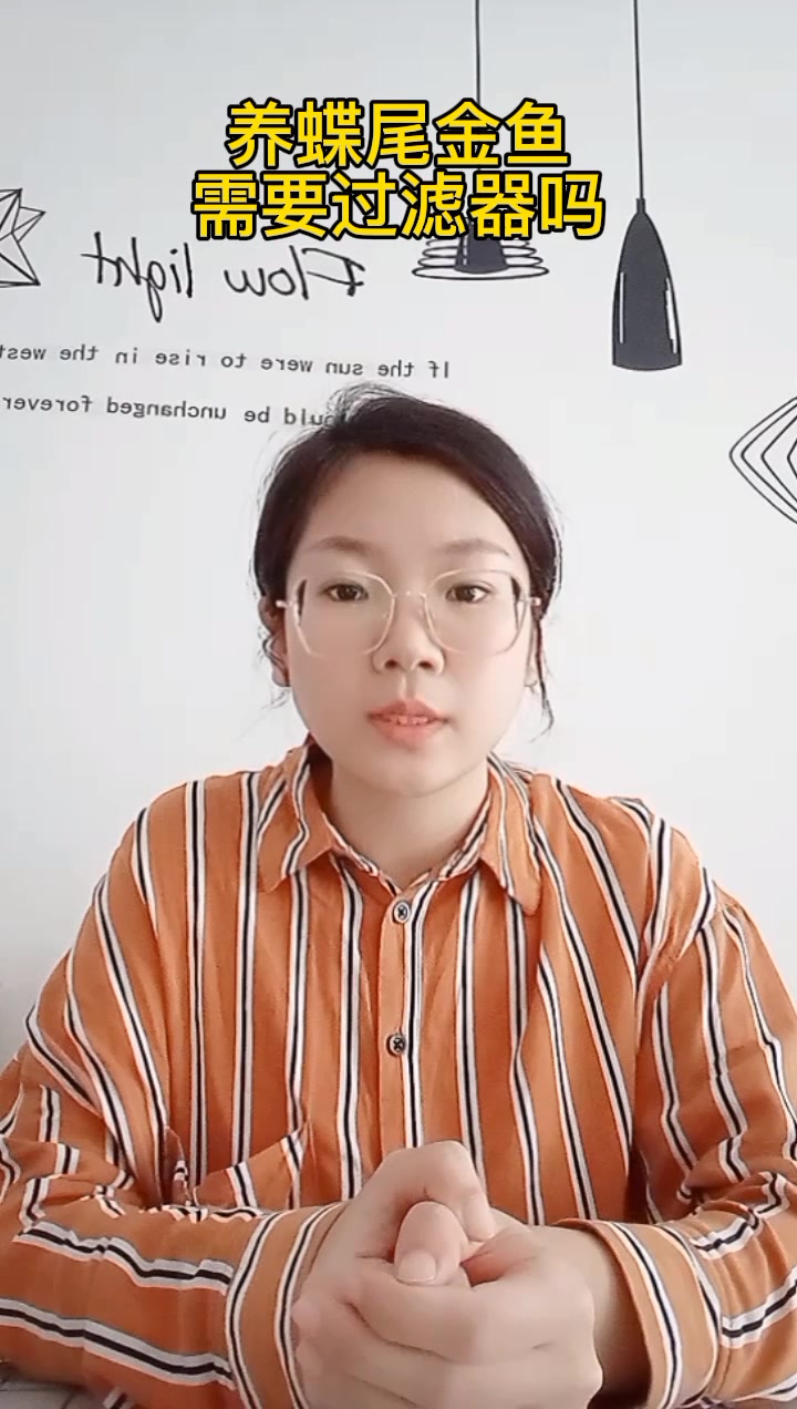 养蝶尾金鱼需要过滤器吗