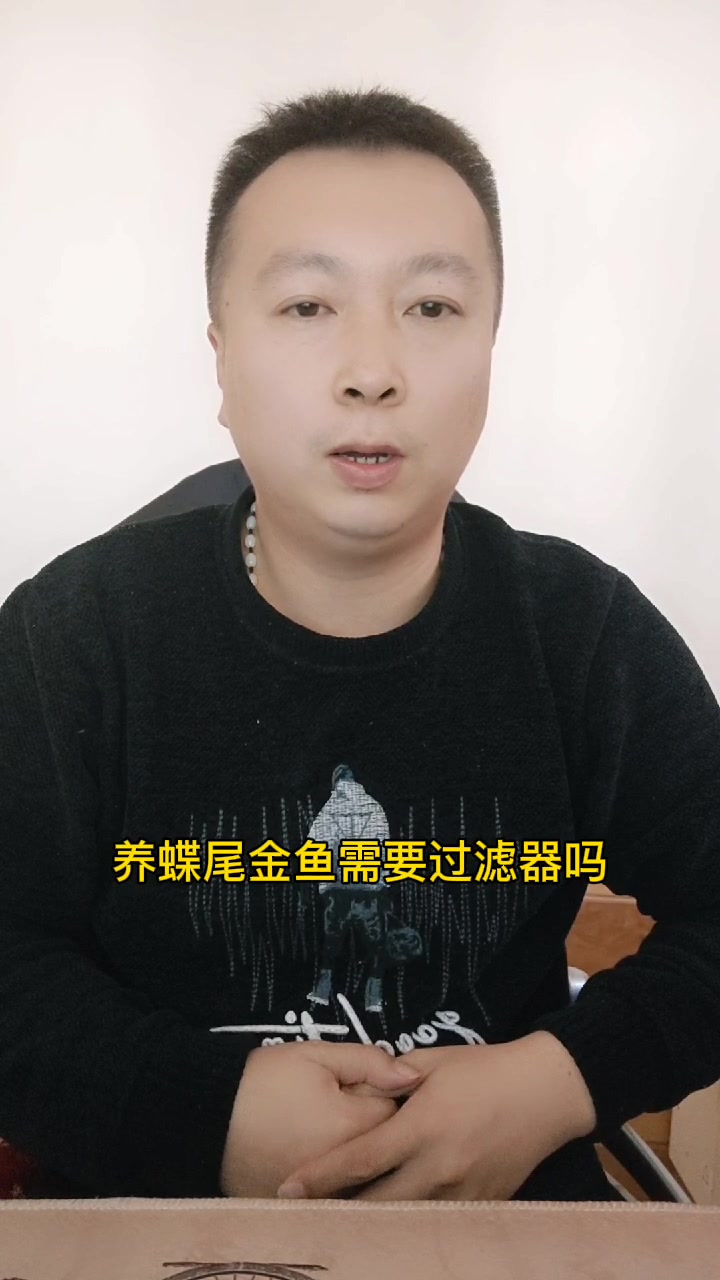 养蝶尾金鱼需要过滤器吗