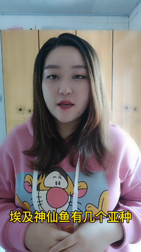 埃及神仙鱼有几个亚种