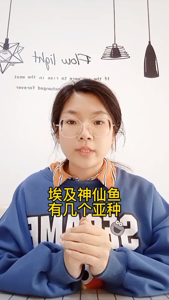 埃及神仙鱼有几个亚种